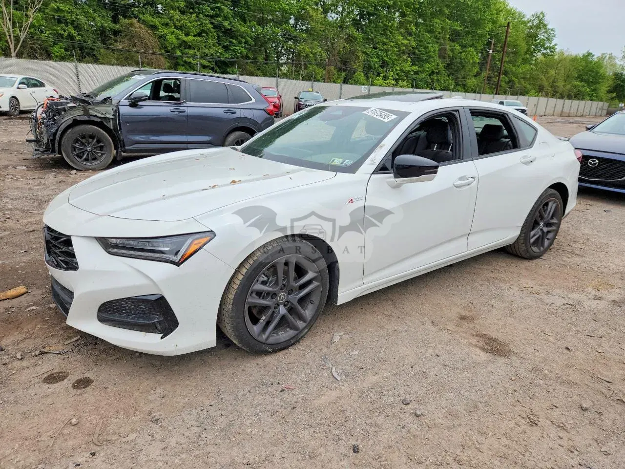 Acura TLX 2024