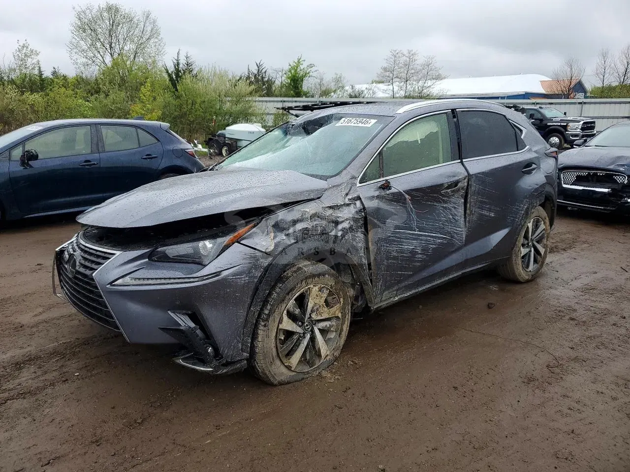 Lexus NX 2.0L 4 2019