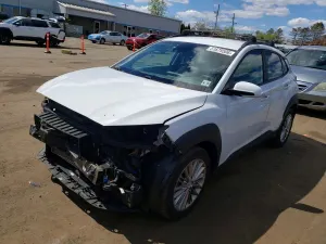 Hyundai Kona 2.0L 4 2020