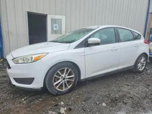 Ford Focus 2.0L 4 2016