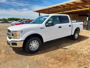 Ford F-150 5.0L 8 2019