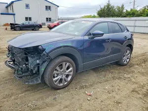 Mazda CX-30 2.5L 4 2021