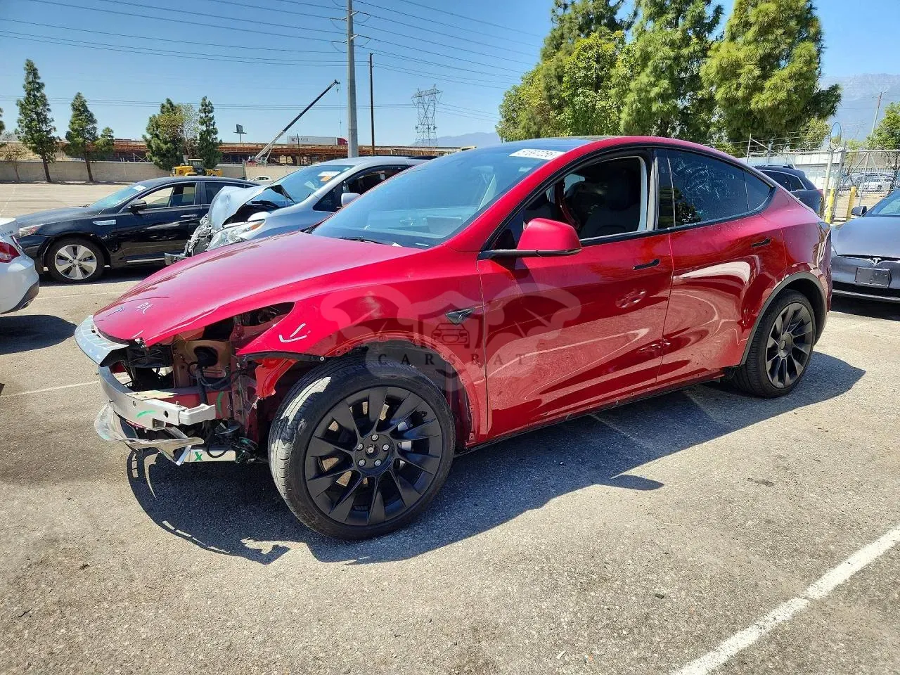 Tesla Model Y 2024
