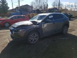 Mazda CX-30 2.5L 4 2024