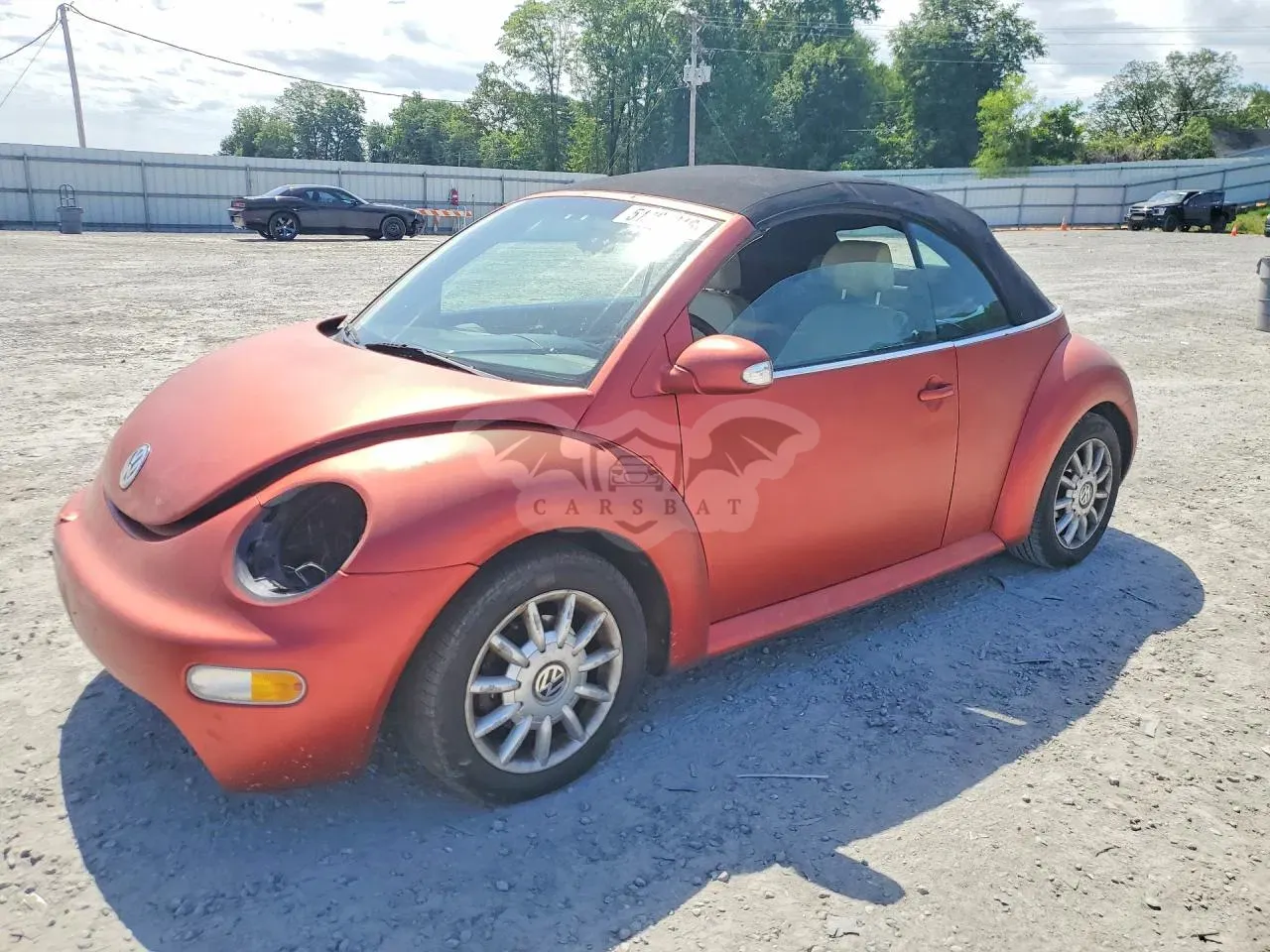 Volkswagen Beetle 2004
