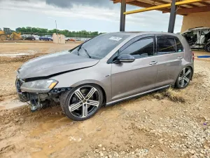 Volkswagen Golf 2L 4 2016