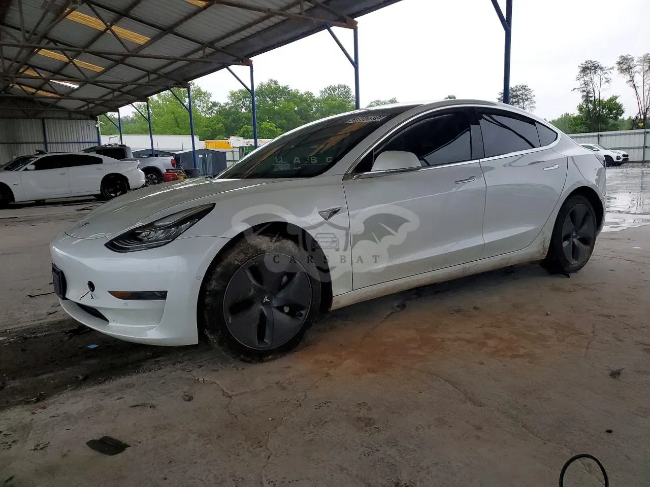 Tesla Model 3 2020