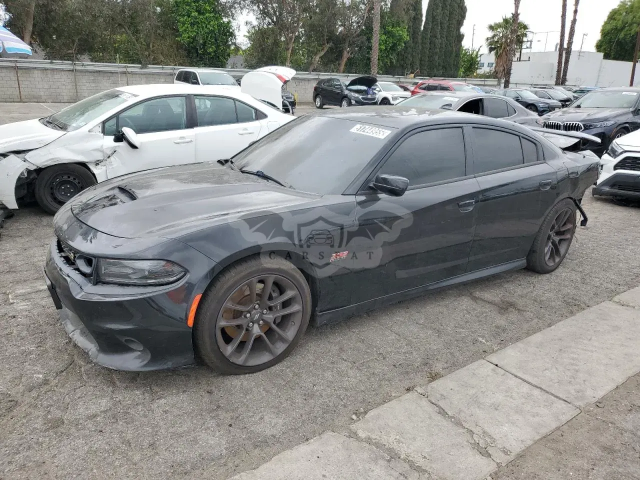 Dodge Charger 6.4L 8 2021