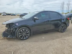 Toyota Corolla 1.8L 4 2019