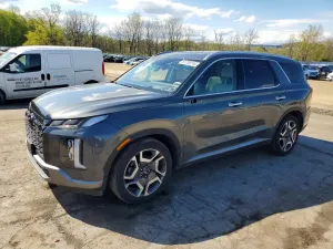 Hyundai Palisade 3.8L 6 2024