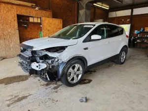 Ford Escape 1.6L 4 2014