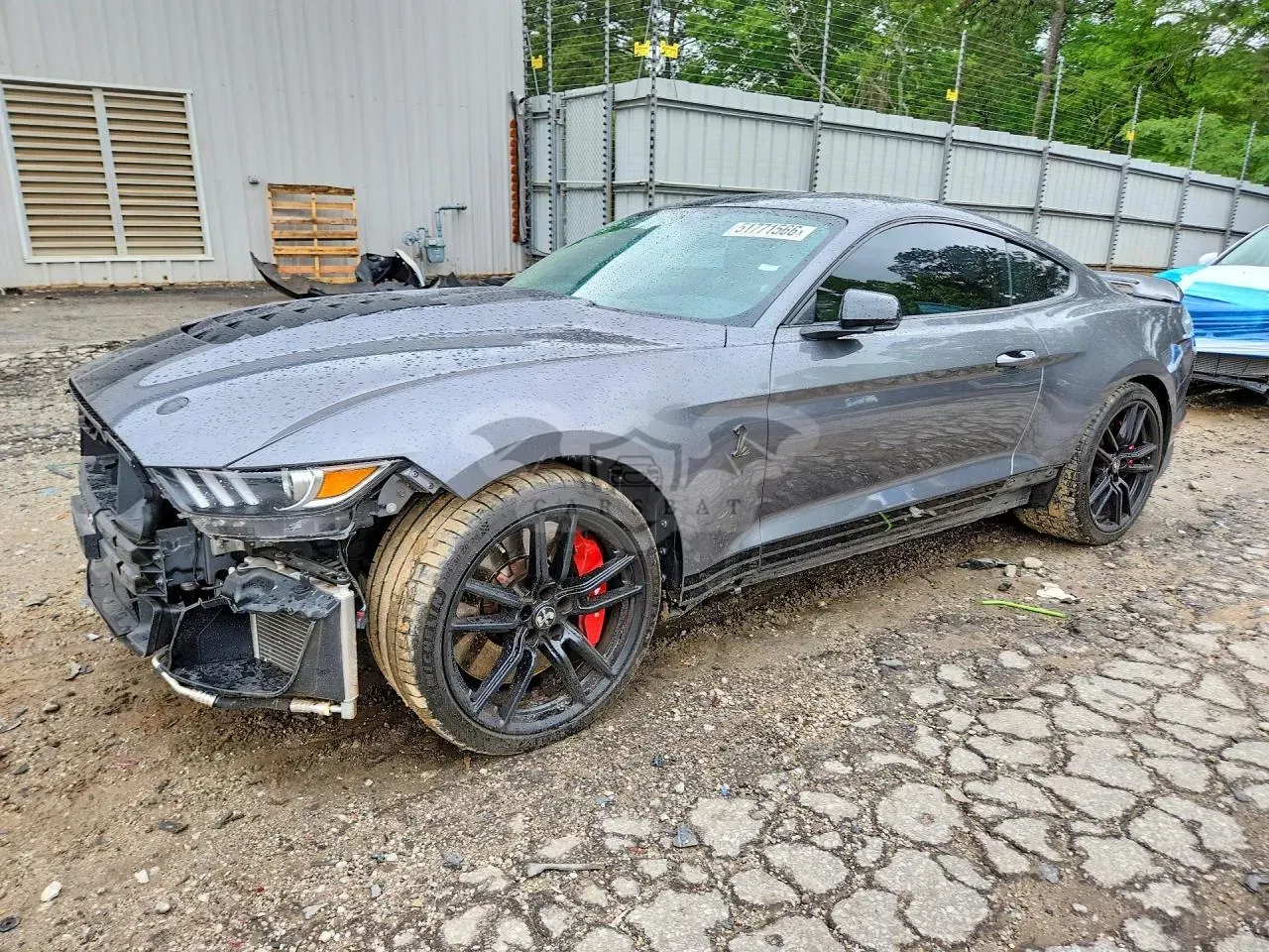 Ford Mustang 5.2L 8 2021