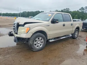 Ford F-150 4.6L 8 2009