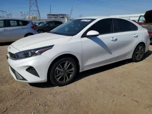 Kia Cerato / Forte / K3 2.0L 4 2023