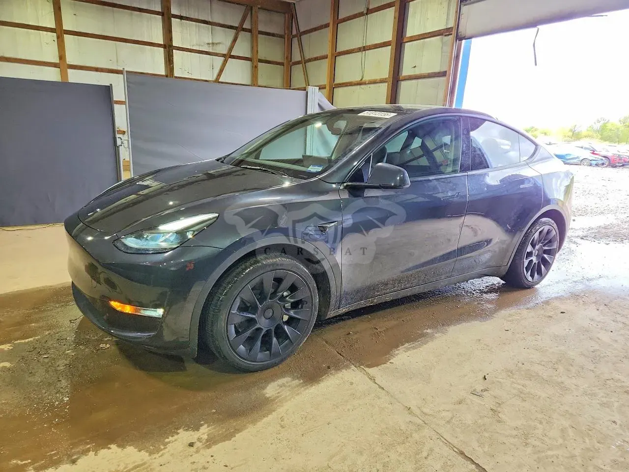 Tesla Model Y 2024