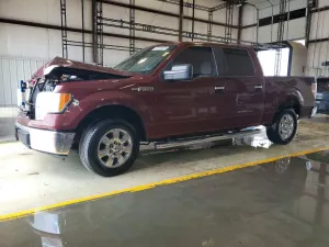 Ford F-150 4.6L 8 2010