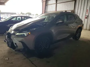 Lexus NX 2.4L 4 2023
