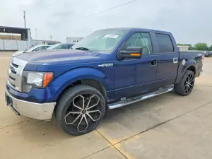 Ford F-150 4.6L 8 2009