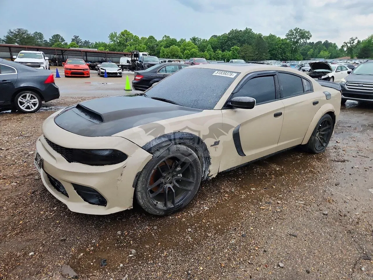 Dodge Charger 6.4L 8 2018