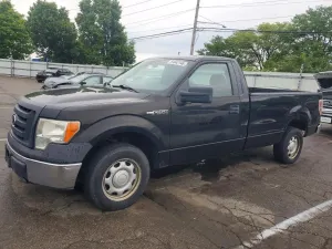 Ford F-150 4.6L 8 2010
