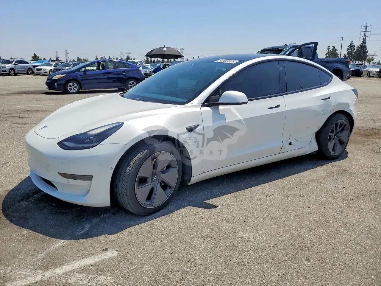 Tesla Model 3 2021