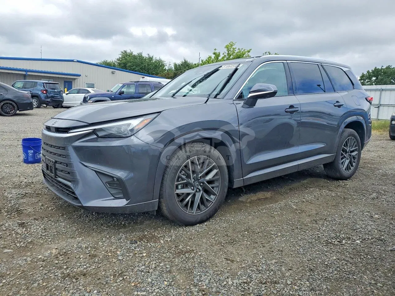 Lexus TX Series 2.4L 4 2026