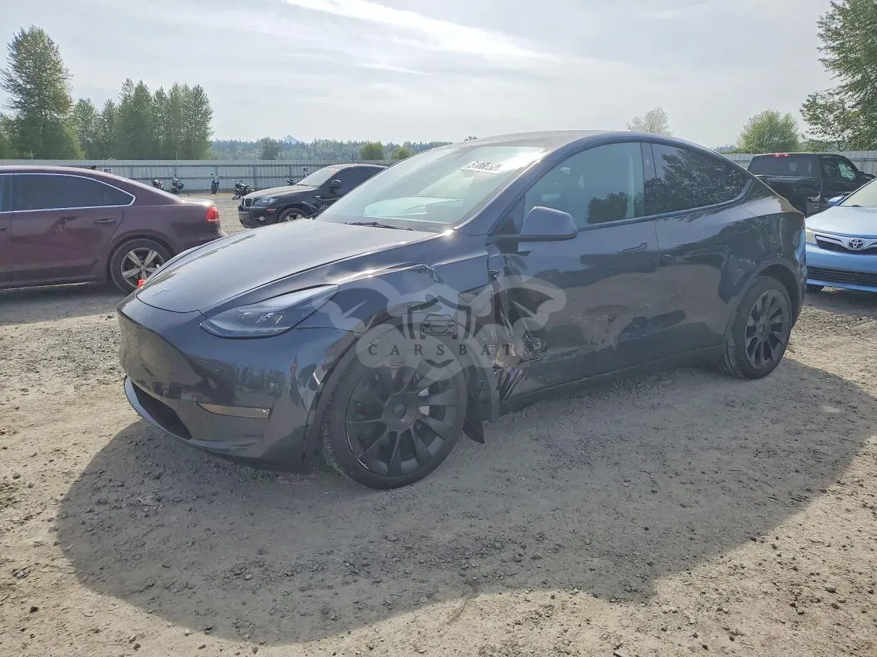 Tesla Model Y 2024