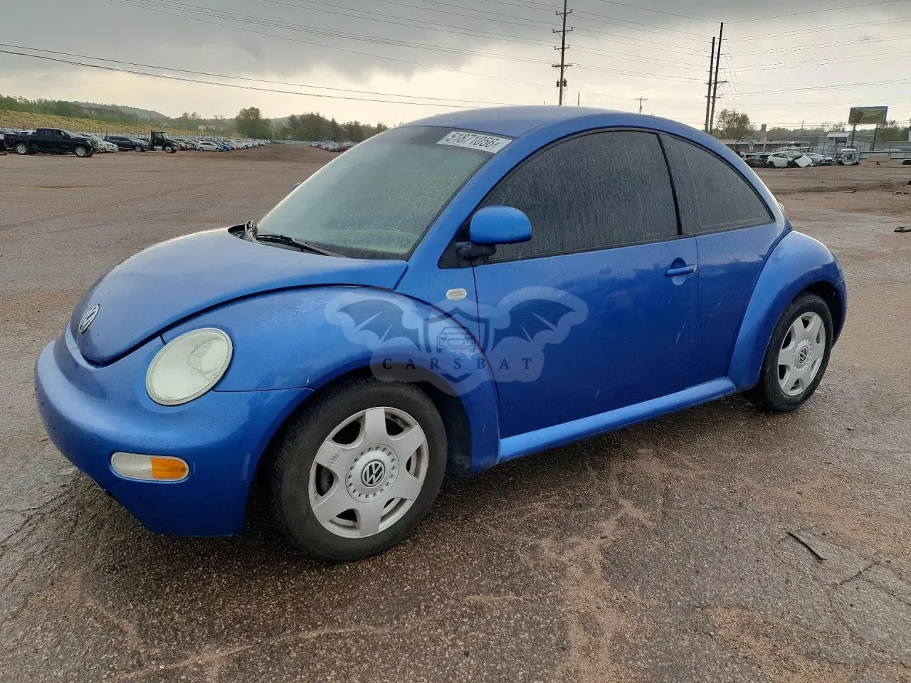 Volkswagen Beetle 2.0L 4 1999