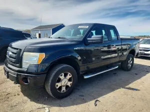 Ford F-150 4.6L 8 2010
