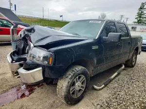 Ford F-150 4.6L 8 2008