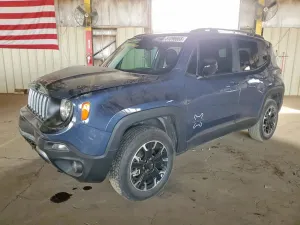 Jeep Renegade 1.3L 4 2023