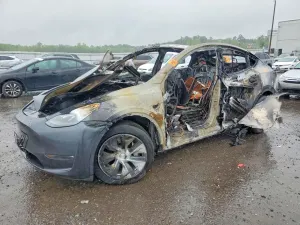 Tesla Model Y 2024