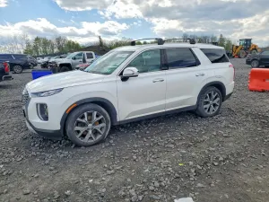 Hyundai Palisade 3.8L 6 2020