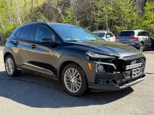 Hyundai Kona 2.0L 4 2018