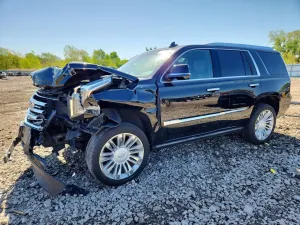 Cadillac Escalade 6.2L 8 2017