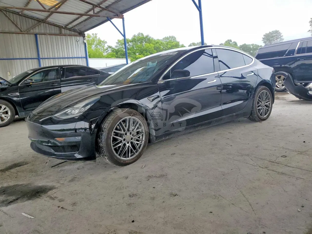 Tesla Model 3 2019