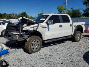 Ford F-150 4.6L 8 2010