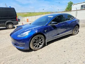 Tesla Model 3 2019