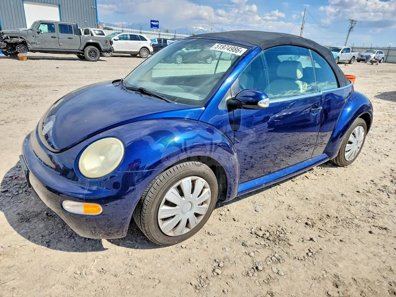 Volkswagen Beetle 2.0L 4 2004