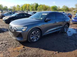 Audi E-Tron 2021
