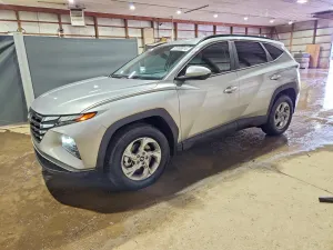 Hyundai Tucson 2.5L 4 2024