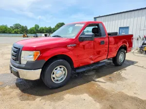 Ford F-150 4.6L 8 2010