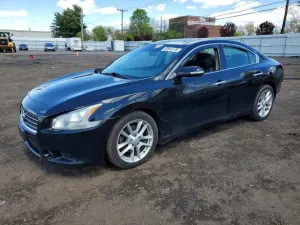 Nissan Maxima 3.5L 6 2010