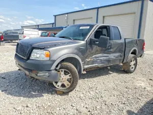 Ford F-150 5.4L 8 2005