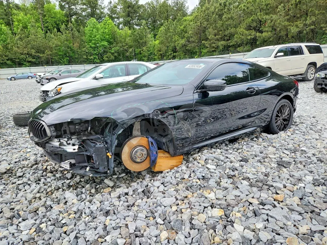 BMW 8 Series 4.4L 8 2019