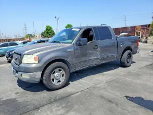 Ford F-150 4.6L 8 2004