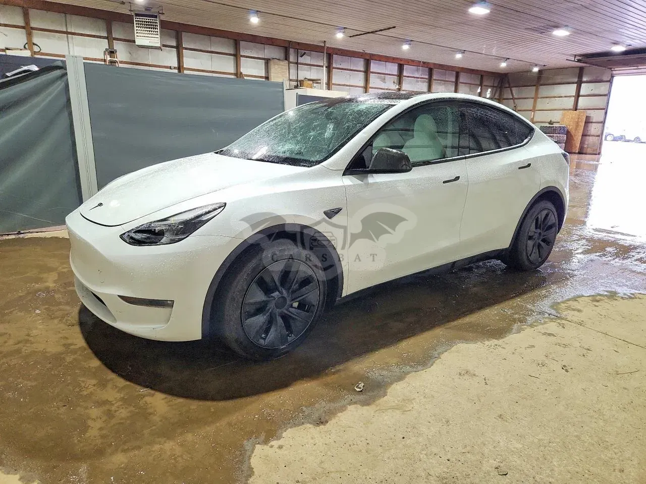 Tesla Model Y 2025