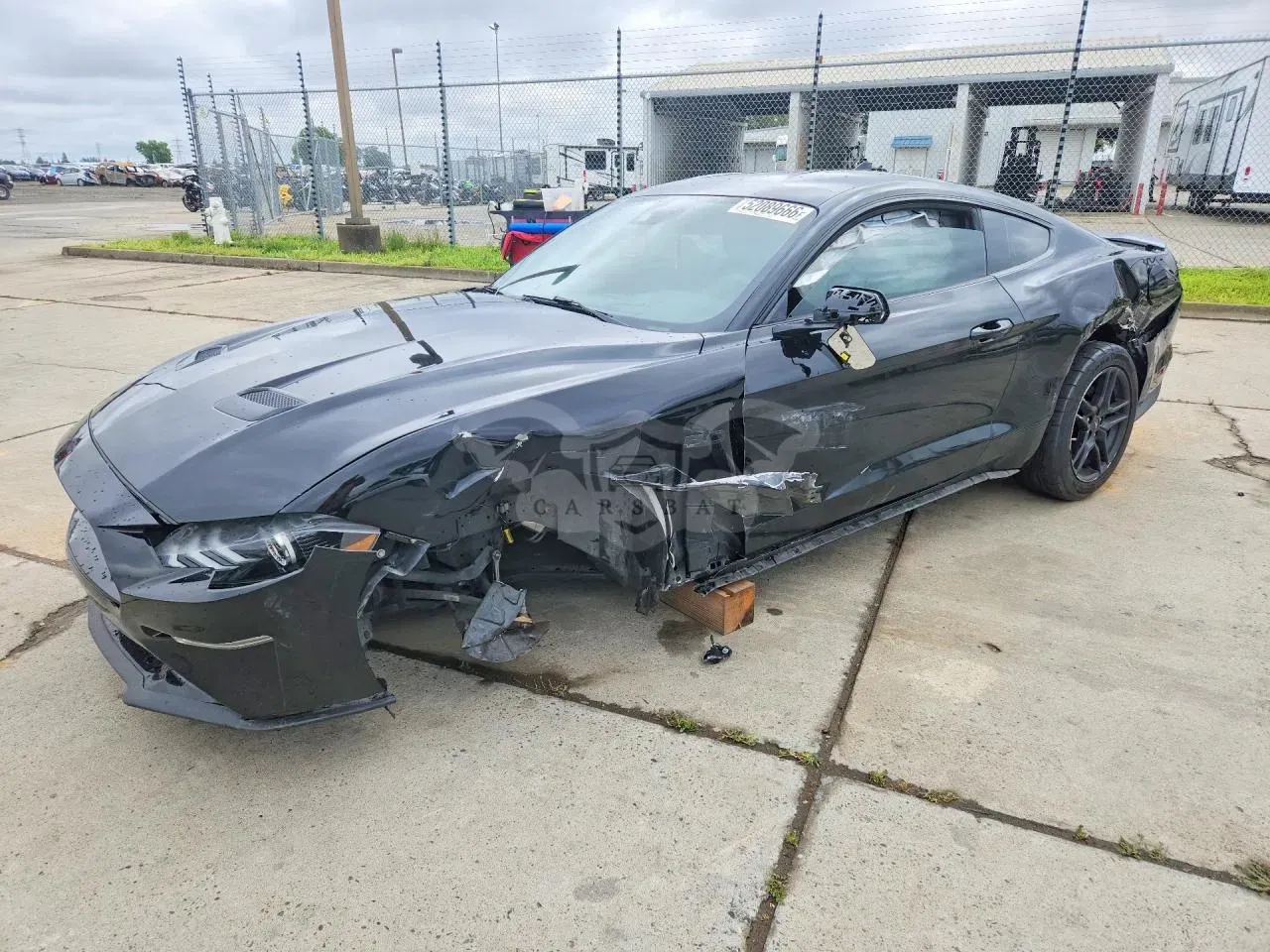 Ford Mustang 5.0L 8 2021