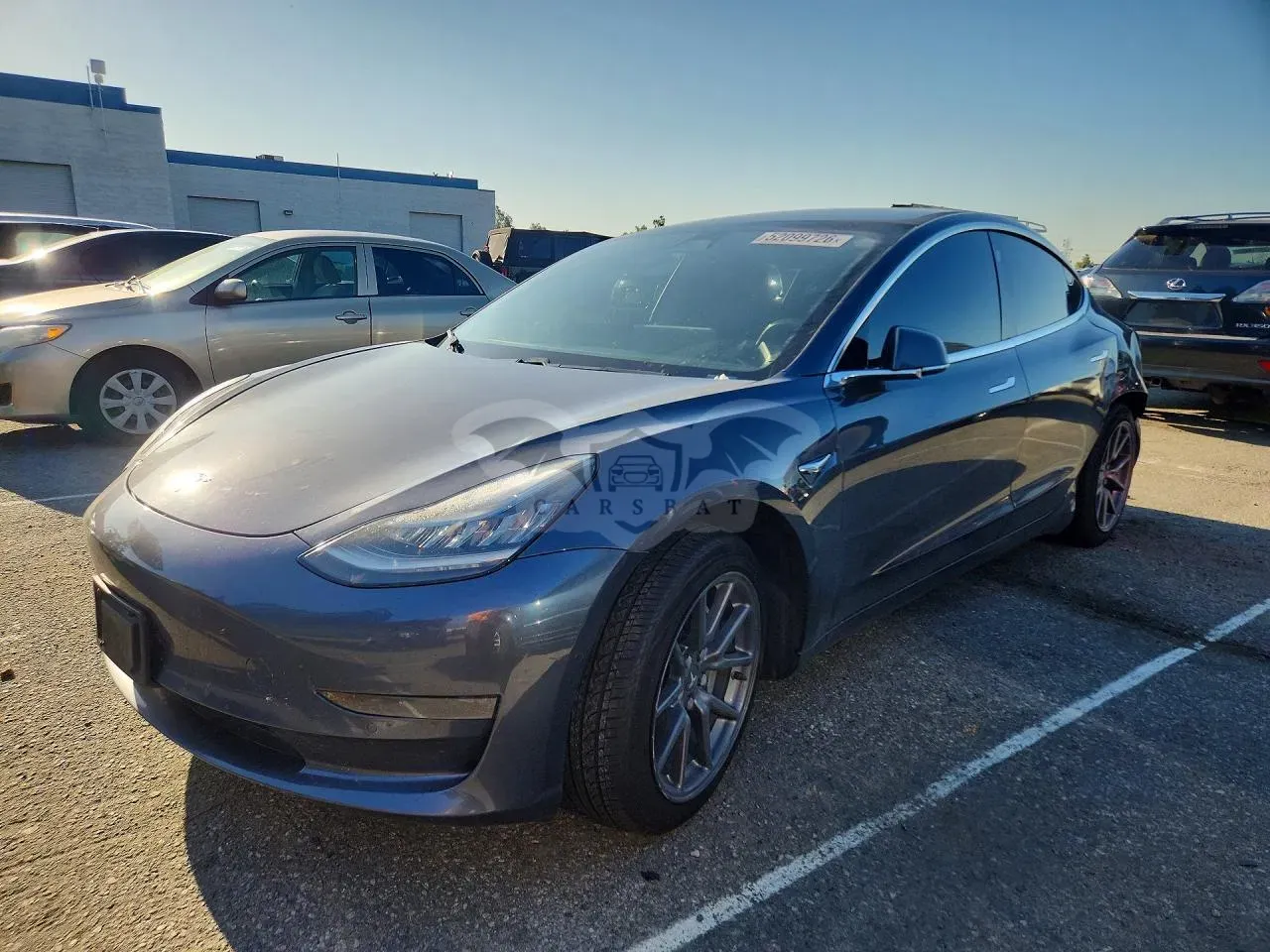 Tesla Model 3 2019