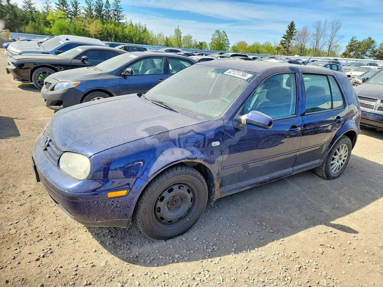 Volkswagen Golf 1.9L 4 2003